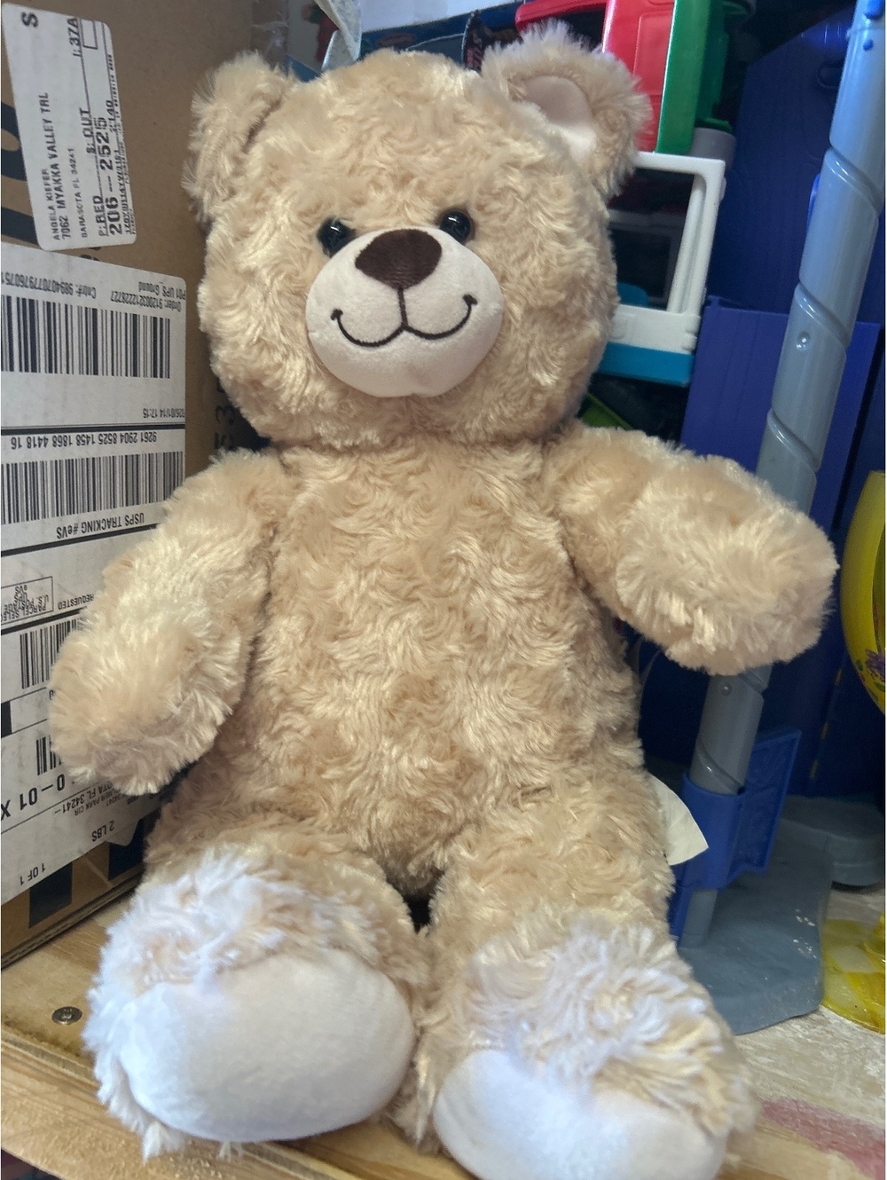 Build a bear teddy
